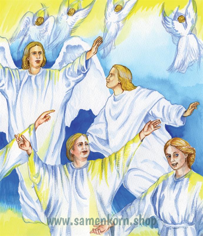 Entdecke die Bibel - AT / Kinderbibel