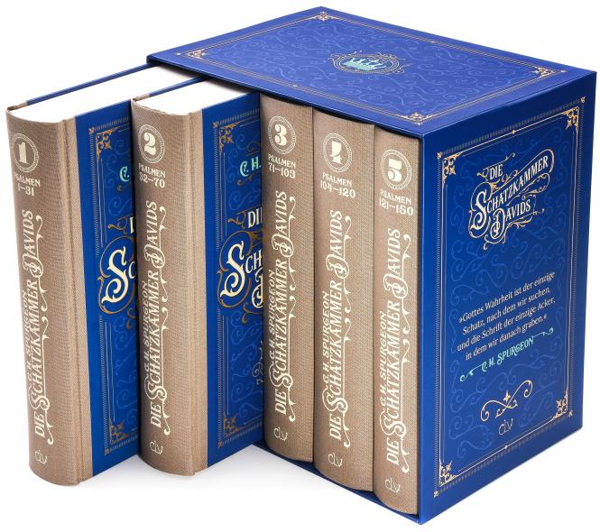 Die Schatzkammer Davids / Buch