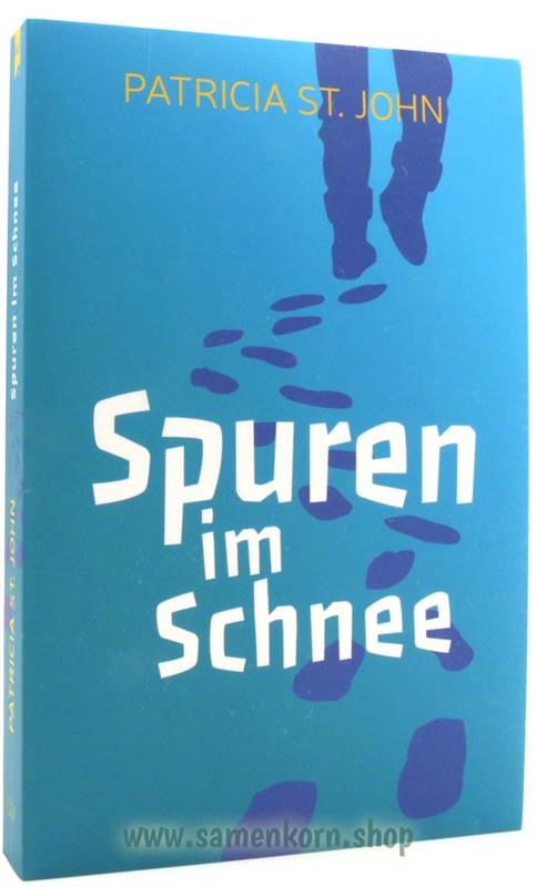 Spuren im Schnee / Buch