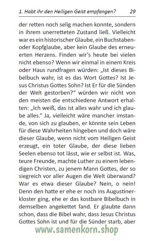 Wie stehst Du als Jünger des Herrn zum Heiligen Geist? / Buch