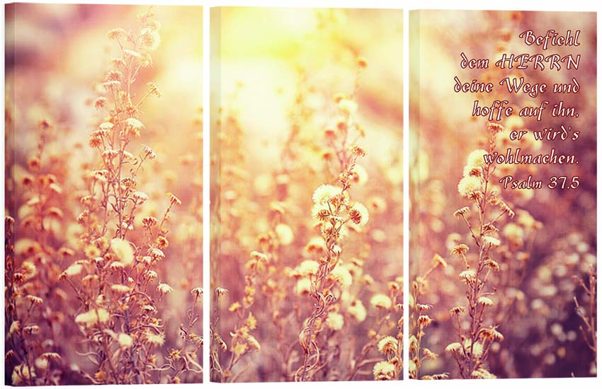 Bild "Feldblumen"