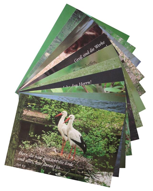 Postkarten-Set "Tiere" / 12 Stück