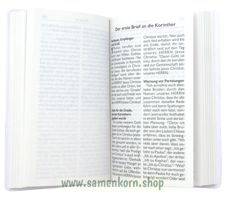 Die Bibel NT mit Psalmen & Sprüchen / Buch