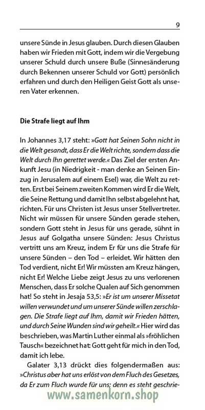 Der Christ und der Sieg, Band 17  Reihe Orientierung / Heft