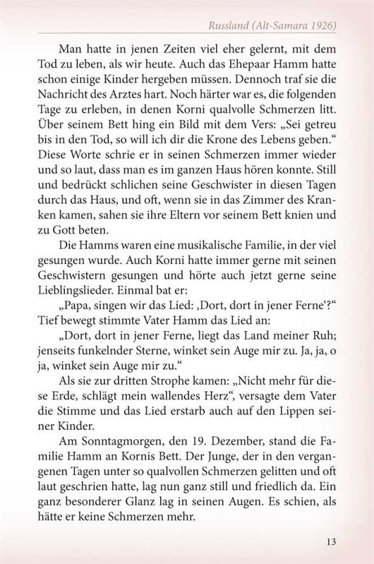 Weihnachten in der Erdhütte / Buch