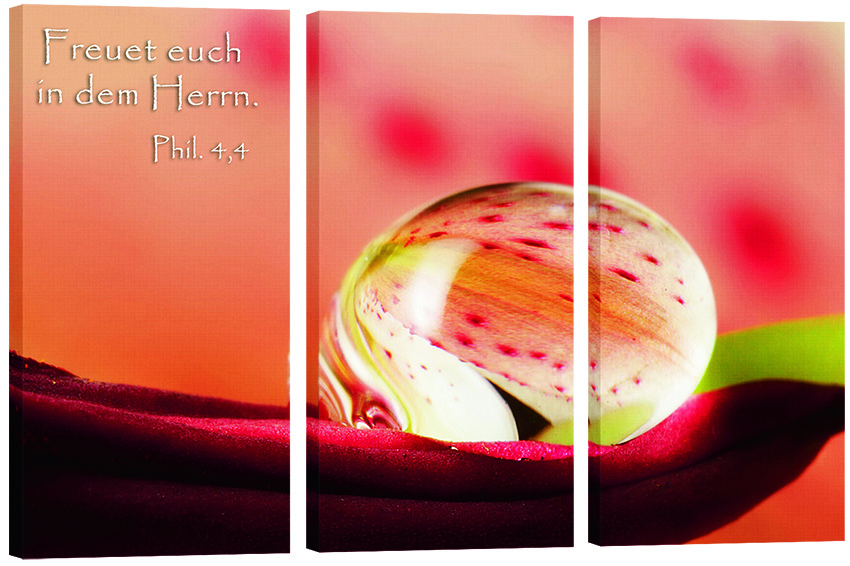 Bild "Perle"