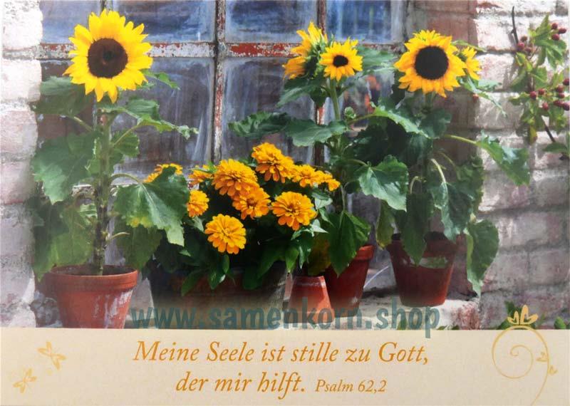 Neujahrslose "Garten"/ Kartenset