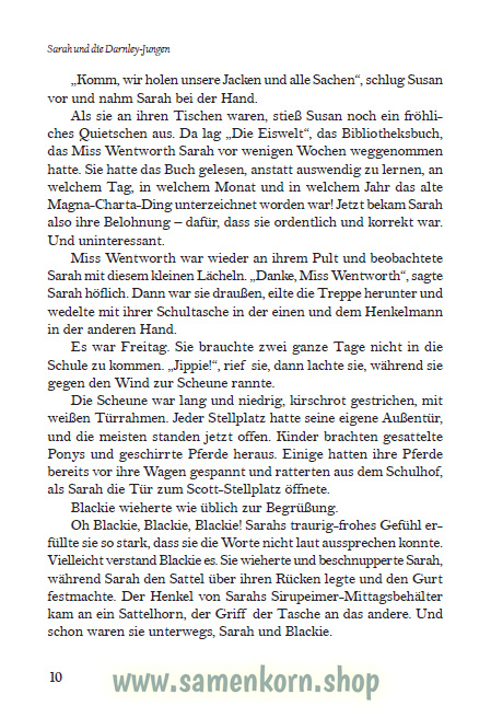 Sarah und die Darnley-Jungen / Buch