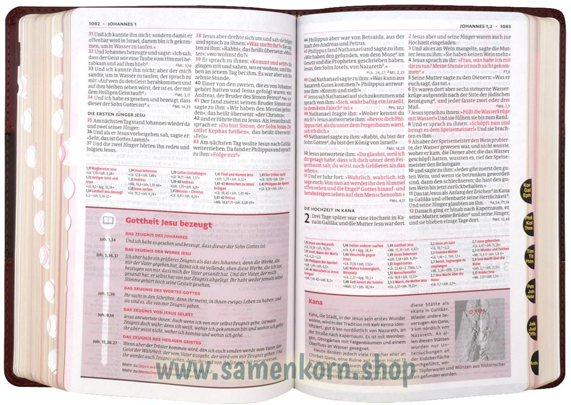 Luther21 F. C. Thompson Studienausgabe, braun/dunkelbraun, GS, GR / Buch