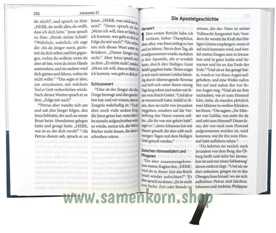 Die Bibel NT mit Psalmen & Sprüchen luther.heute Großdruck / Buch