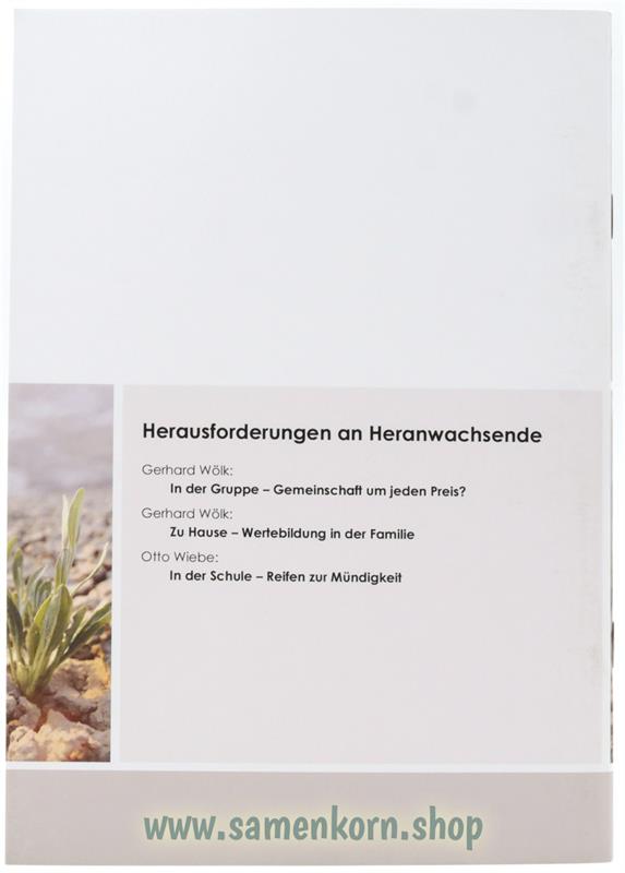 Herausforderungen an Heranwachsende / Beiträge zur Kinderarbeit 5 / Heft