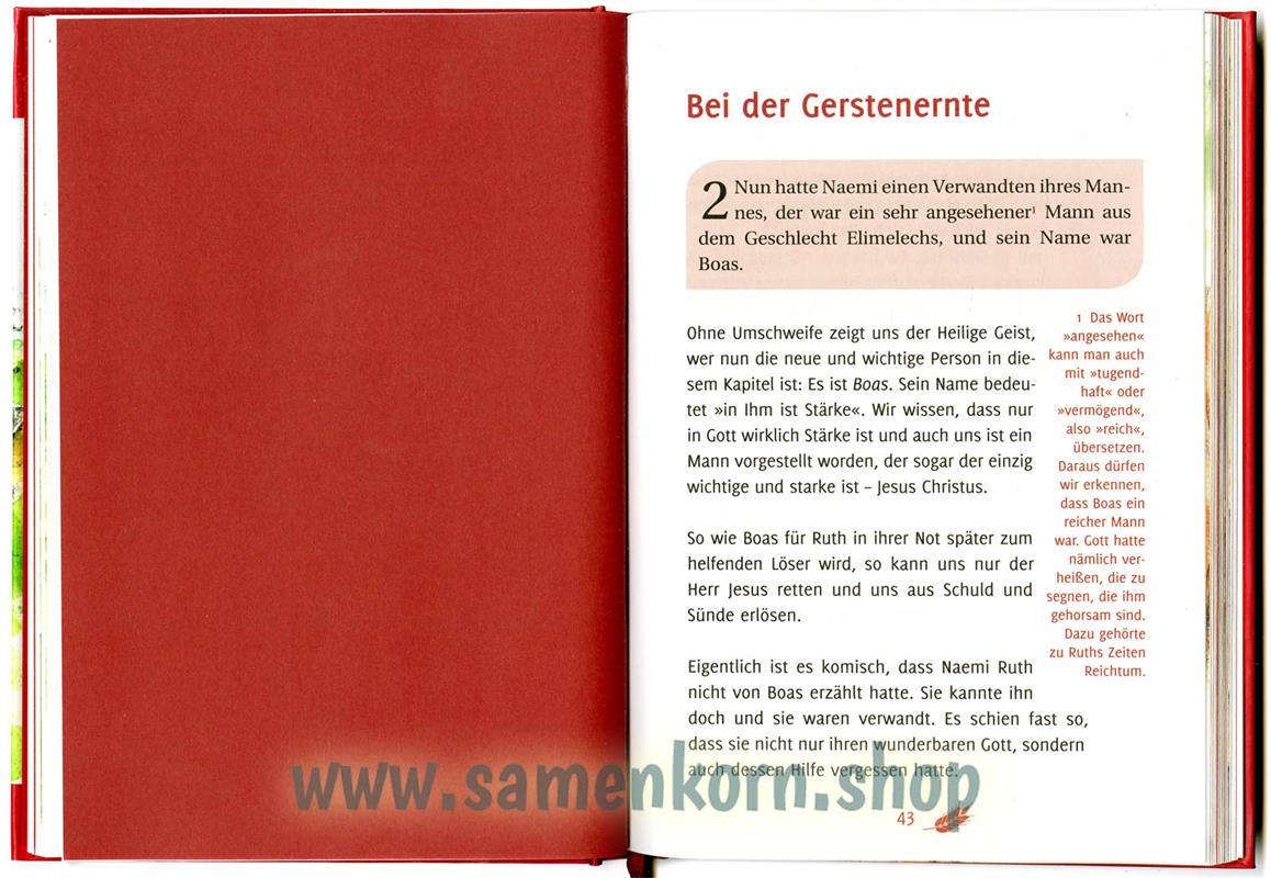 Das Buch Ruth: Der Weg zur Erlösung / Buch