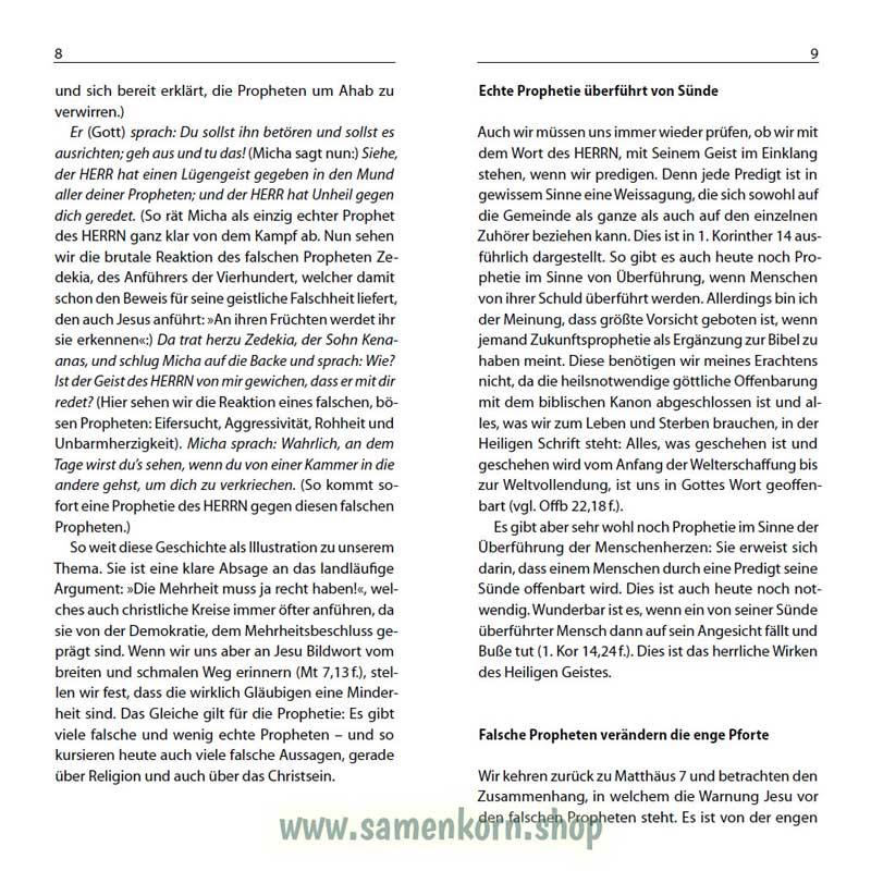 Wölfe in Schafskleidern?, Band 15  Reihe Orientierung / Heft