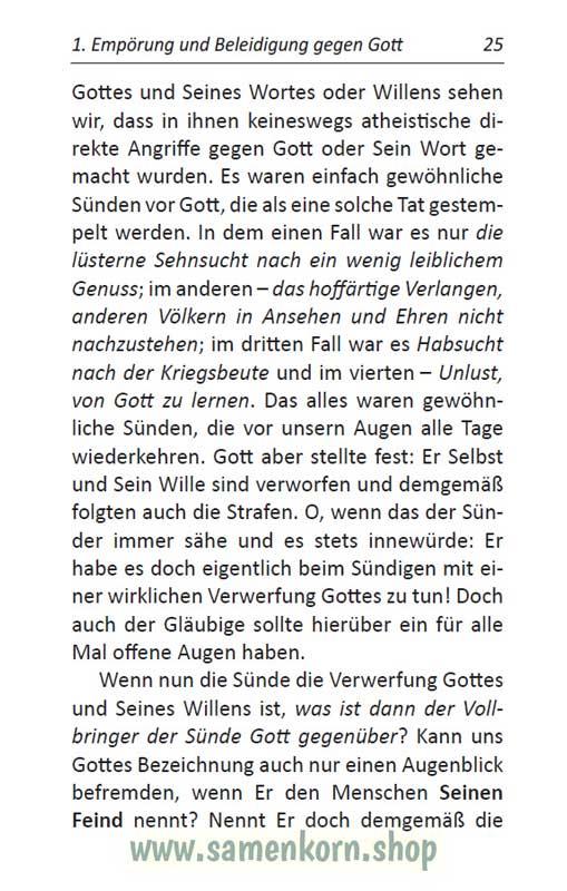 Die Sünde, das Übel aller Übel in dieser Welt / Buch