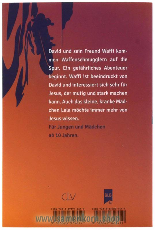 Die silberne Straße / Buch