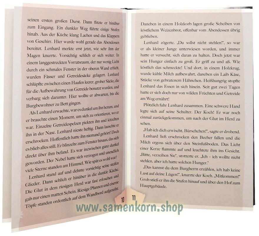 Lenhard - Das Rätsel von Rabeneck / Buch