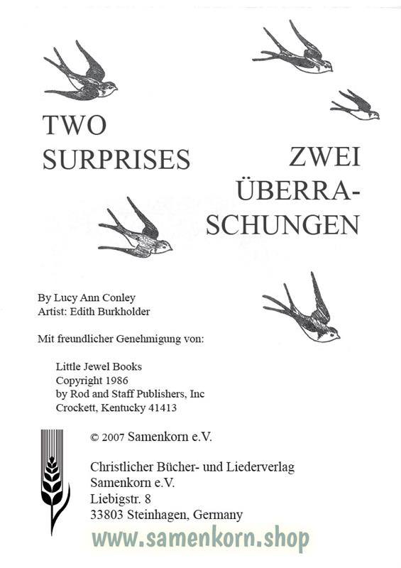 Zwei Überraschungen / Malheft