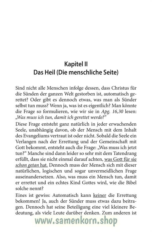 Ein wahrer Christ / Buch