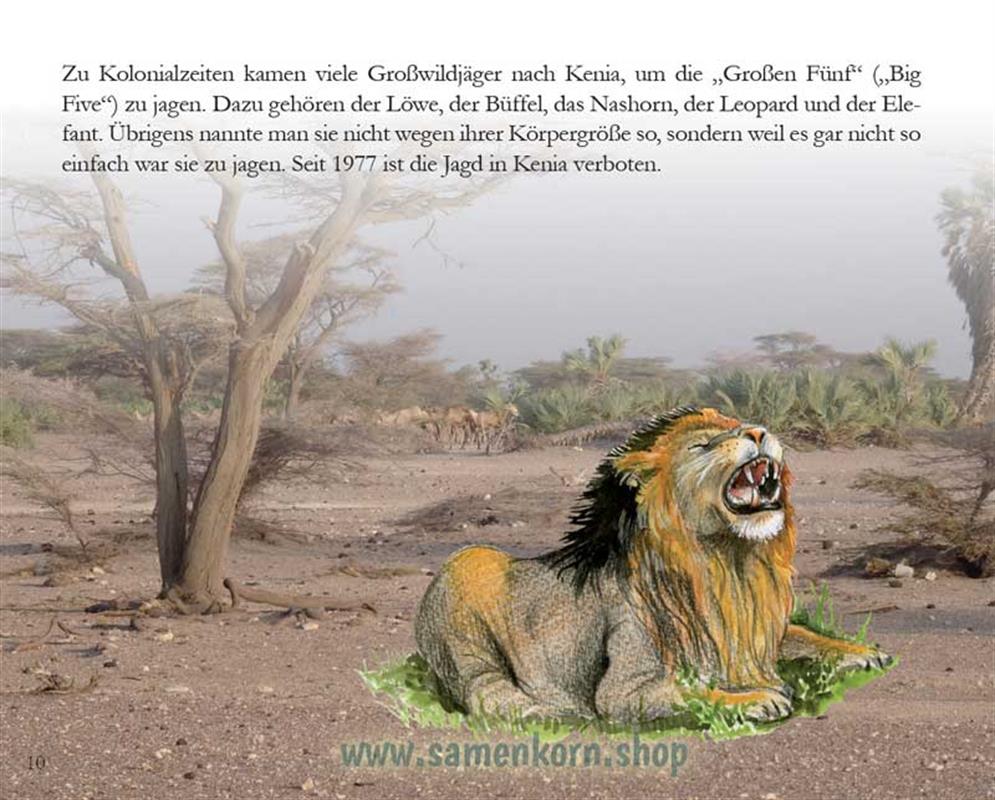 Das gestohlene Geld - Kinder in Kenia / Heft