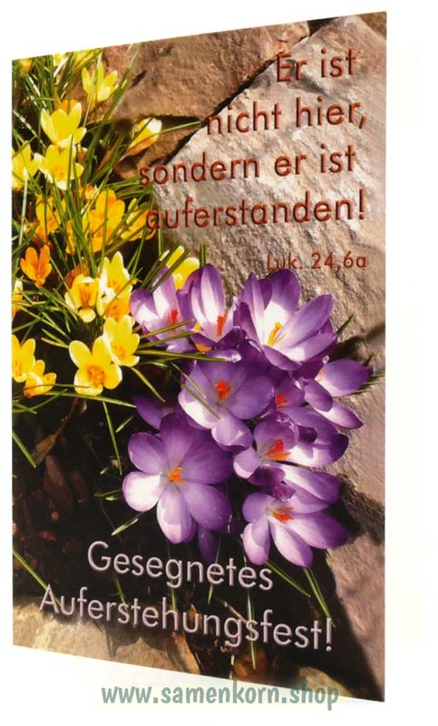 Doppelkarten zu Ostern / 5 Karten