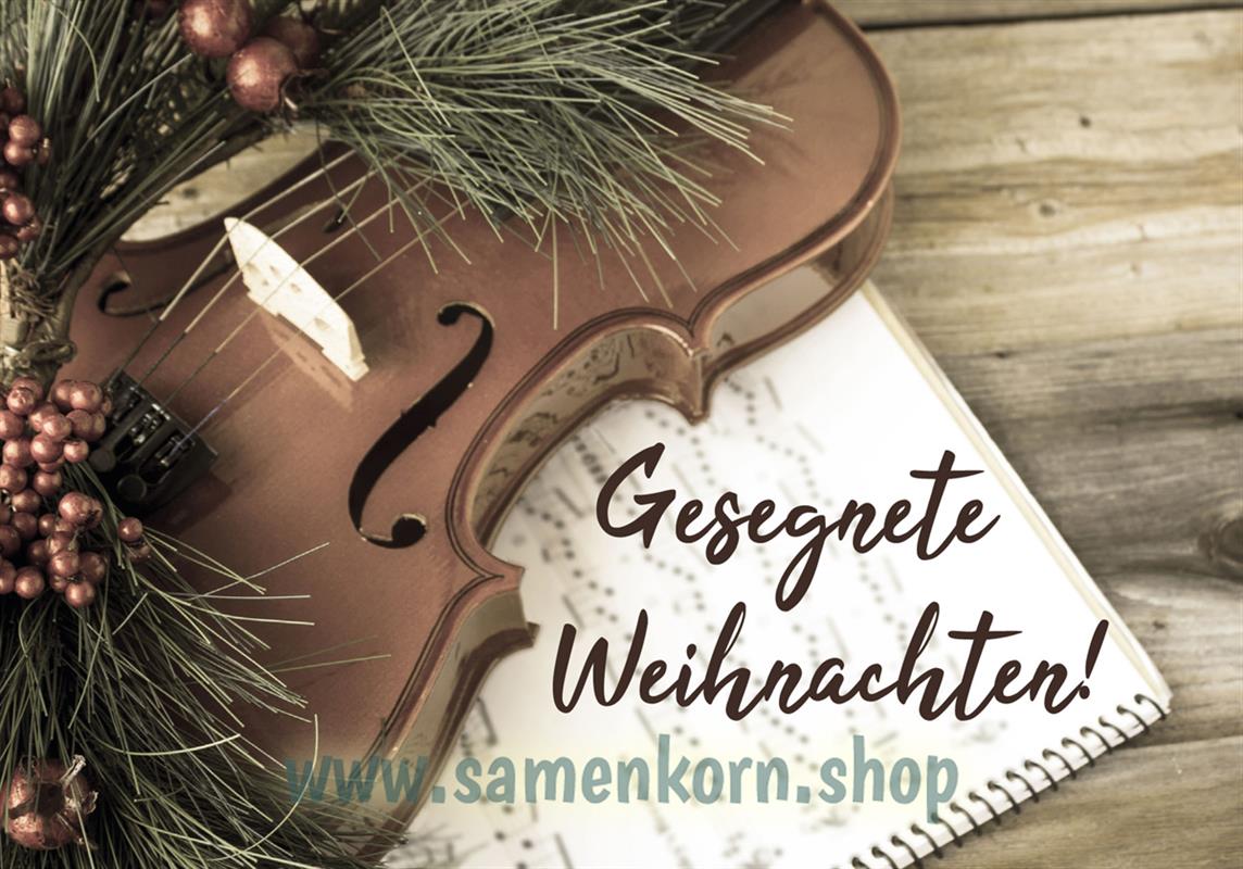 Doppelkarte "Gesegnete Weihnachten"  (Geige)