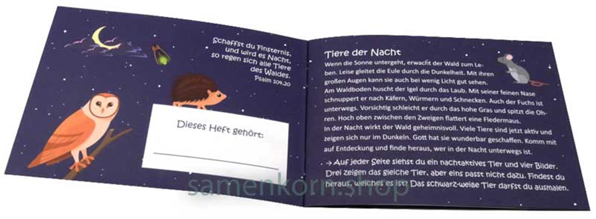 Mini-Rätselheft - Tiere in der Nacht / Heft