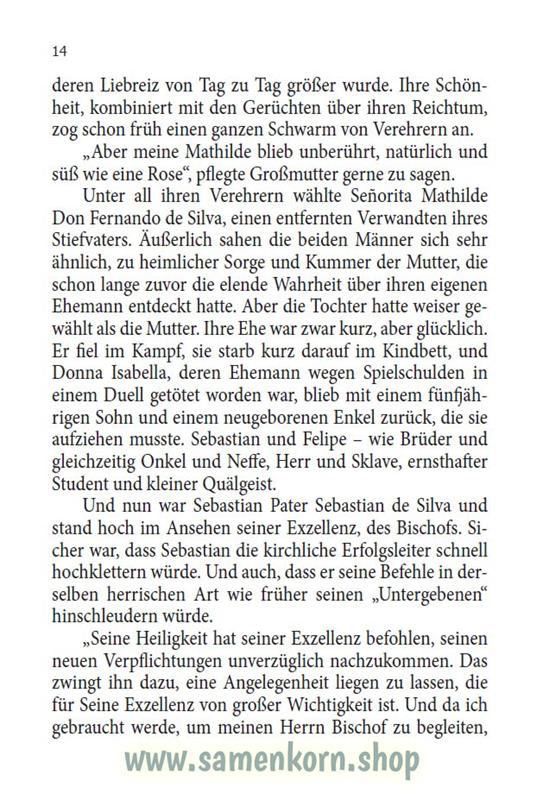 Streitwagen im Rauch /  Buch
