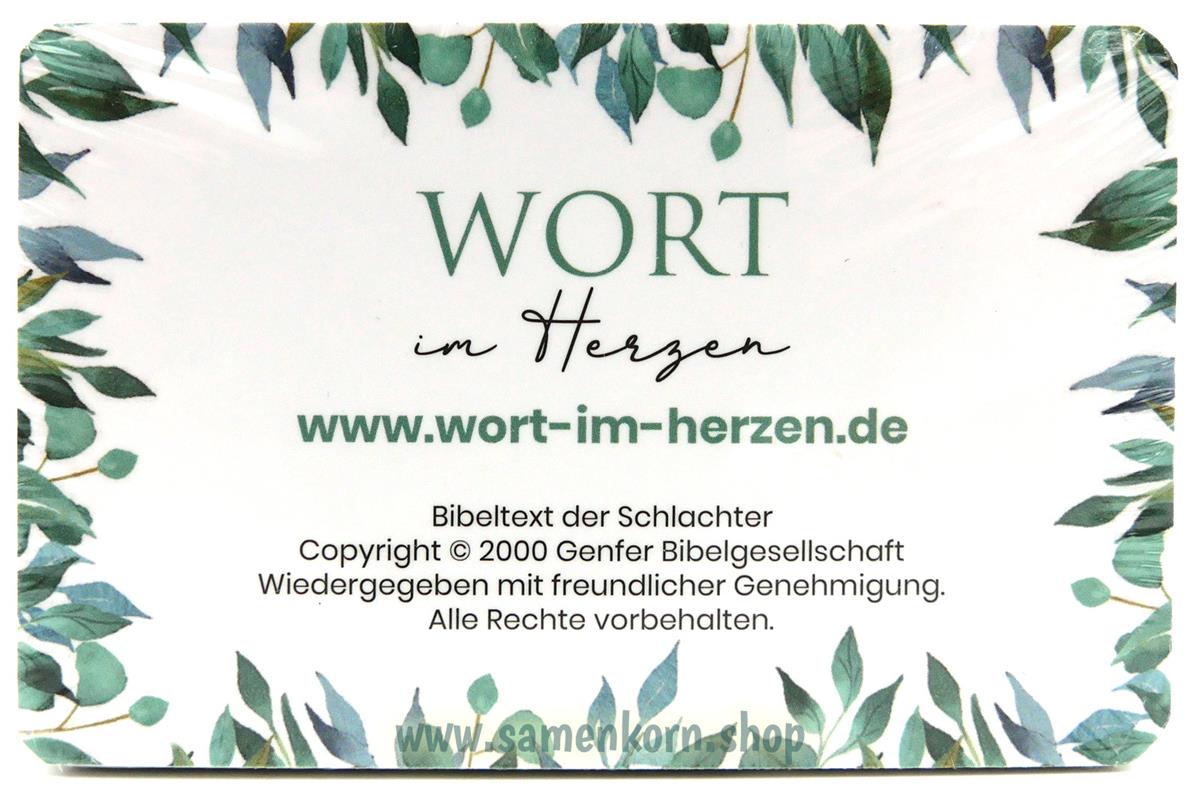 Die Sprüche - Wort im Herzen / 48 Lernkarten mit Box