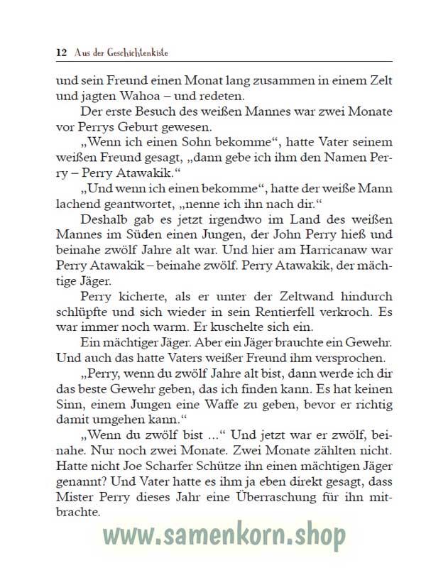 Der Ruf der blauen Gänse / Buch