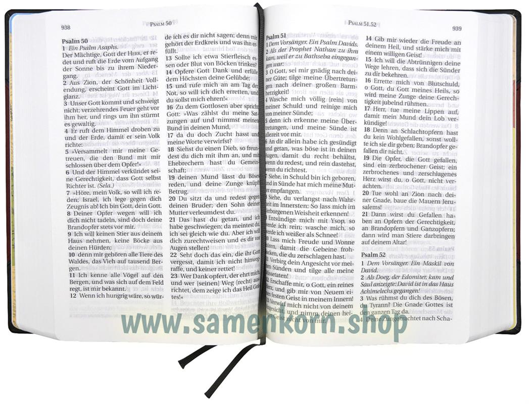 Schlachter 2000 Großdruck, grau/braun, flexibel / Buch