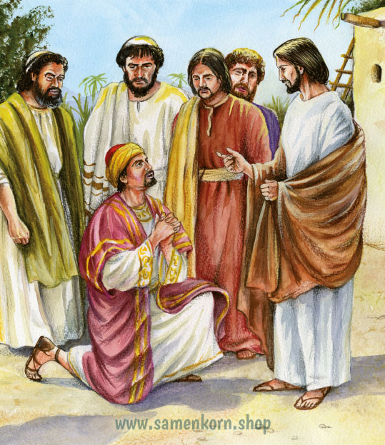 Descopera Biblia / Kinderbibel rumänisch