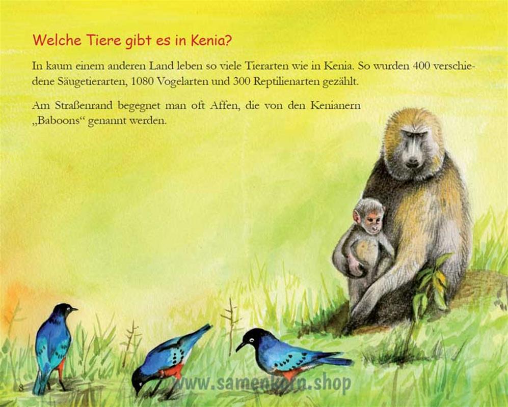 Das gestohlene Geld - Kinder in Kenia / Heft