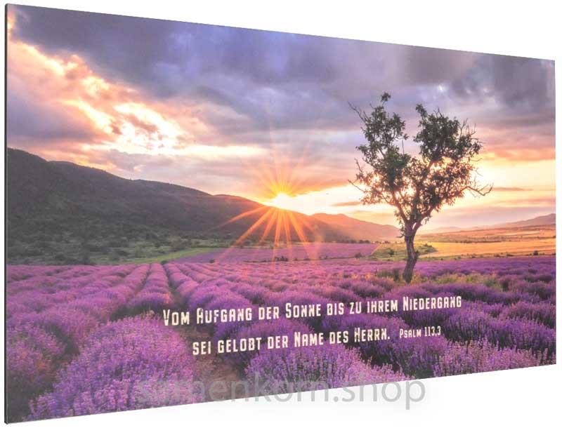 Metalltafel "Lavendelfeld"