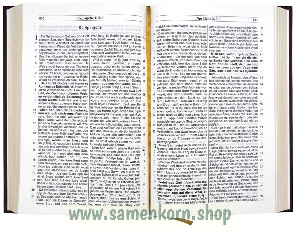 De Bibel in Plattdeutsch / Hardcover, braun mit Goldschnitt / Buch