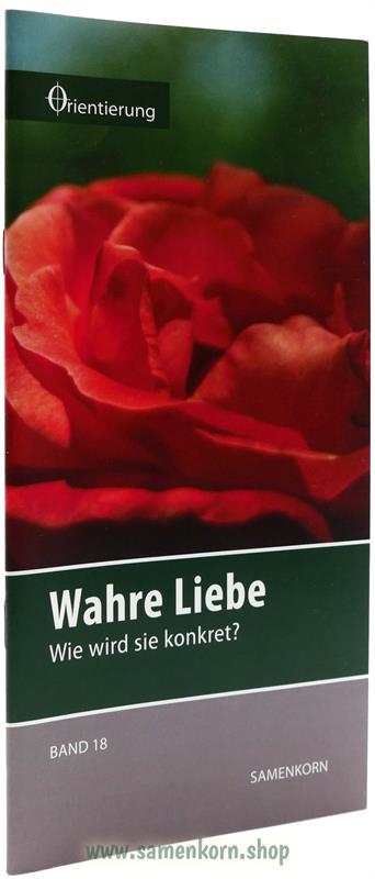 Reihe Orientierung / Bände 17-24 /  Hefte