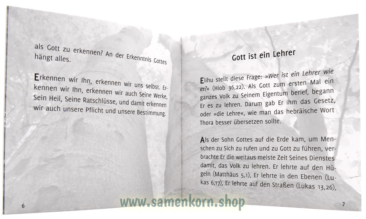 Gott leben. «Lehre trennt, Liebe eint»? / Heft