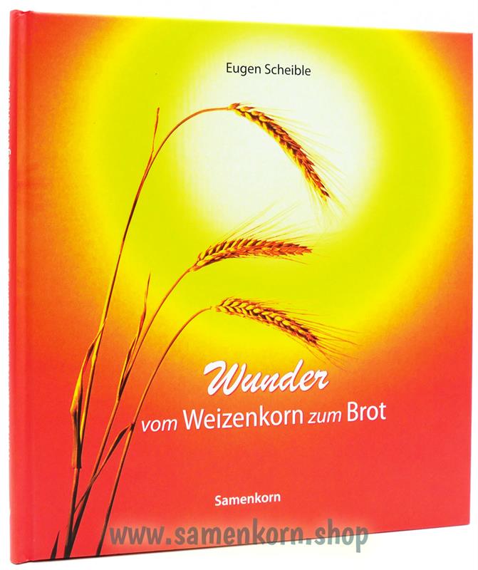 Bildbände von Eugen Scheible / 4-Bücher-Set