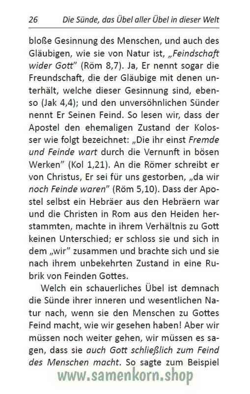 Die Sünde, das Übel aller Übel in dieser Welt / Buch