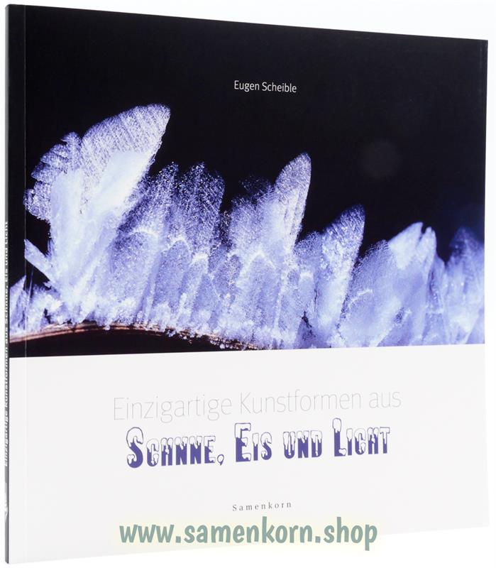 Einzigartige Kunstformen aus Schnee, Eis und Licht / Buch