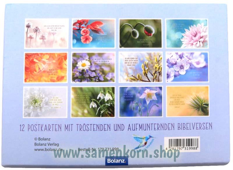 Postkartenbox "Getragen und getröstet"