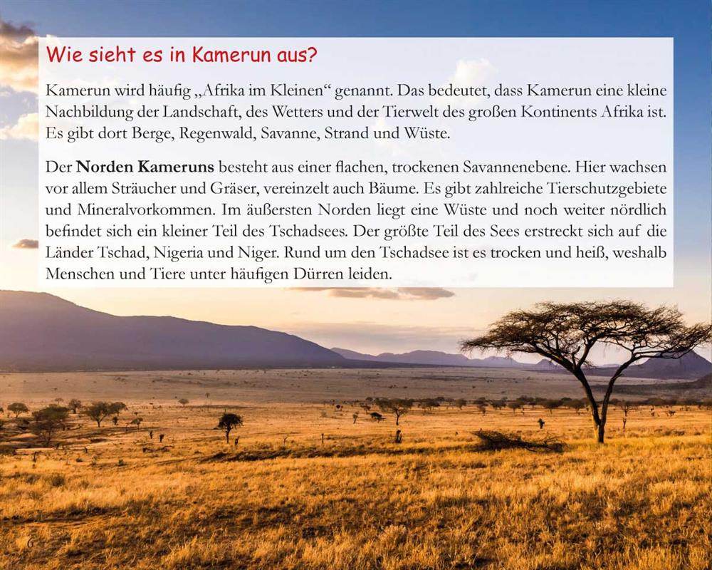Der Fall vom Mangobaum - Kinder in Kamerun / Heft