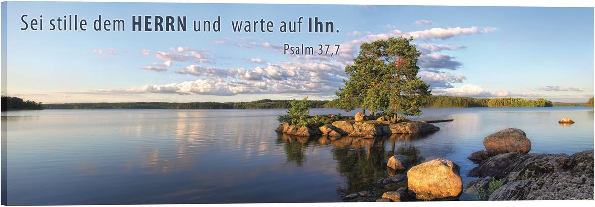 Bild "See mit Insel"