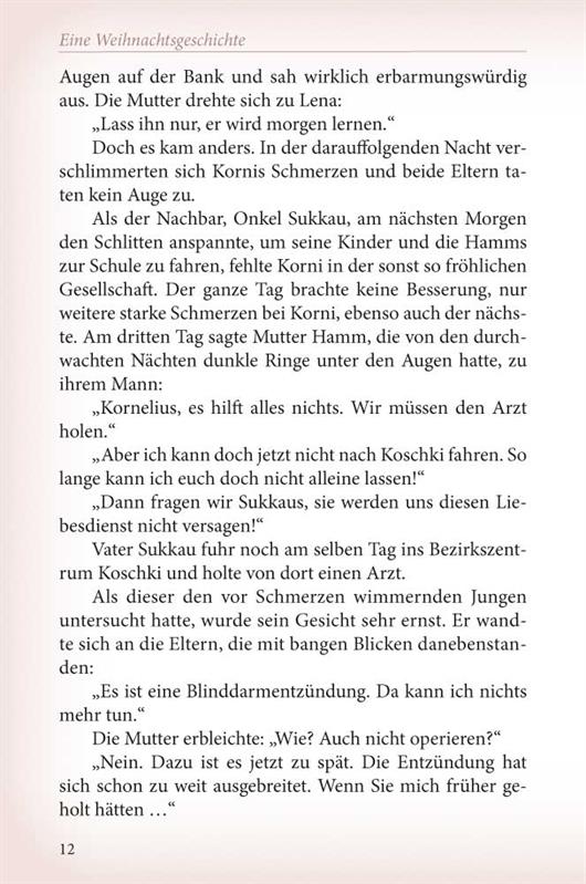 Weihnachten in der Erdhütte / Buch