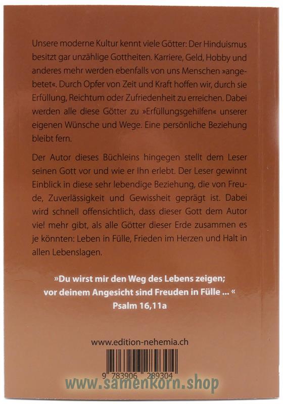 Darf ich vorstellen? Mein Gott / Buch