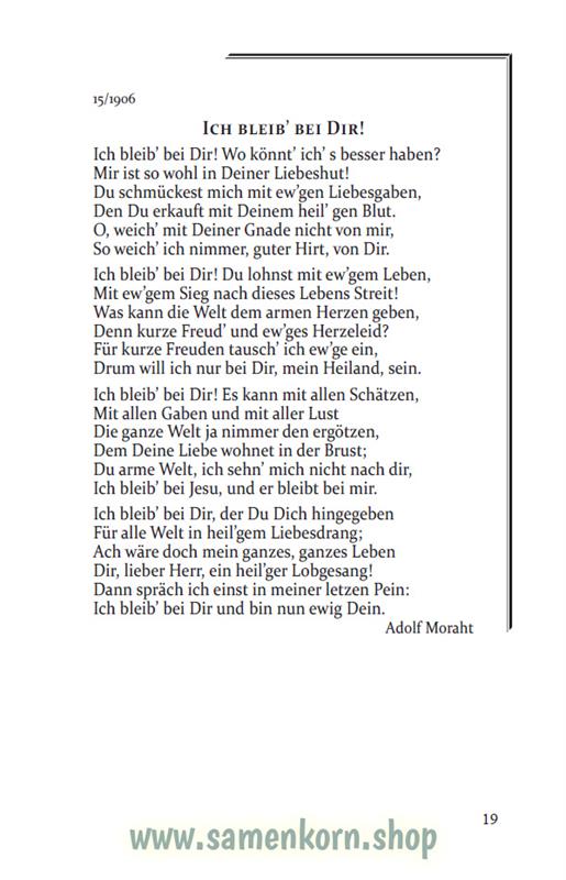 Zum Licht / Gedichte / Buch