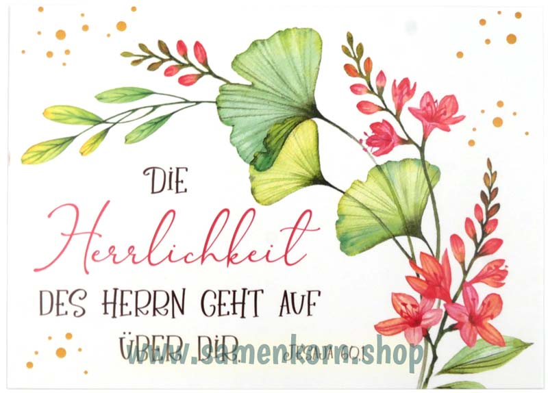 Postkartenbox "Herzliche Segenswünsche"