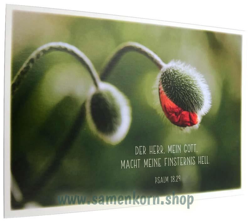Postkartenbox "Getragen und getröstet"
