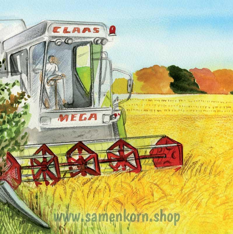 Ein Spätsommertag / Heft 20