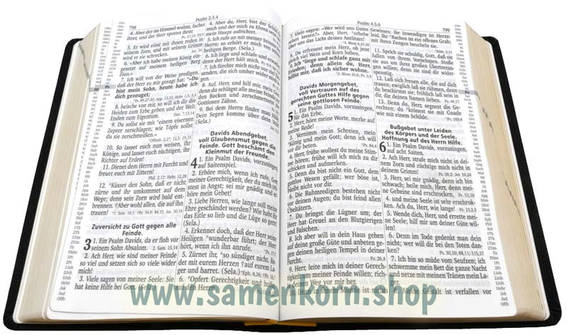 Die Traubibel, schwarz, Leder,  Luther 1912 / Buch