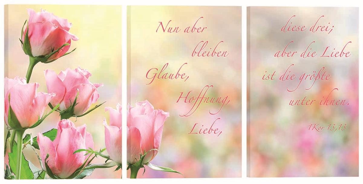 Bild "Rosa Rosen"